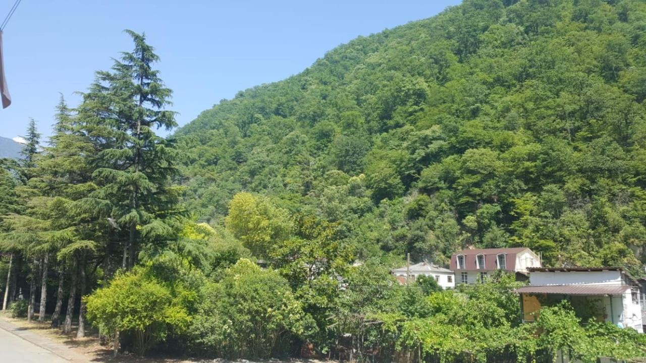 Guest House Gorny Ruchei Γκάγκρα Εξωτερικό φωτογραφία